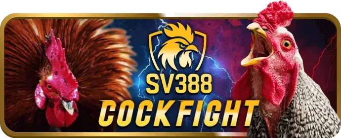 Hoàn trả hàng ngày hello88